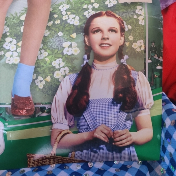 NWT Dorothy Wizard of OZ Halloween Costume Cosplay Child's Small 3-4 Years New - Picture 8 of 9